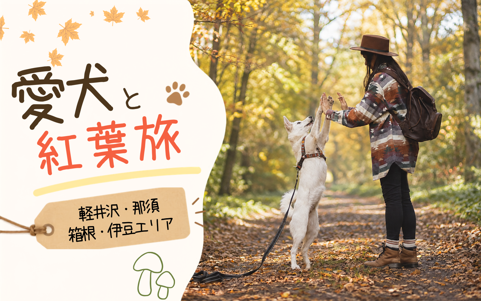 秋の犬旅行|軽井沢・那須・箱根・伊豆の犬同伴OK紅葉スポット&おすすめ宿